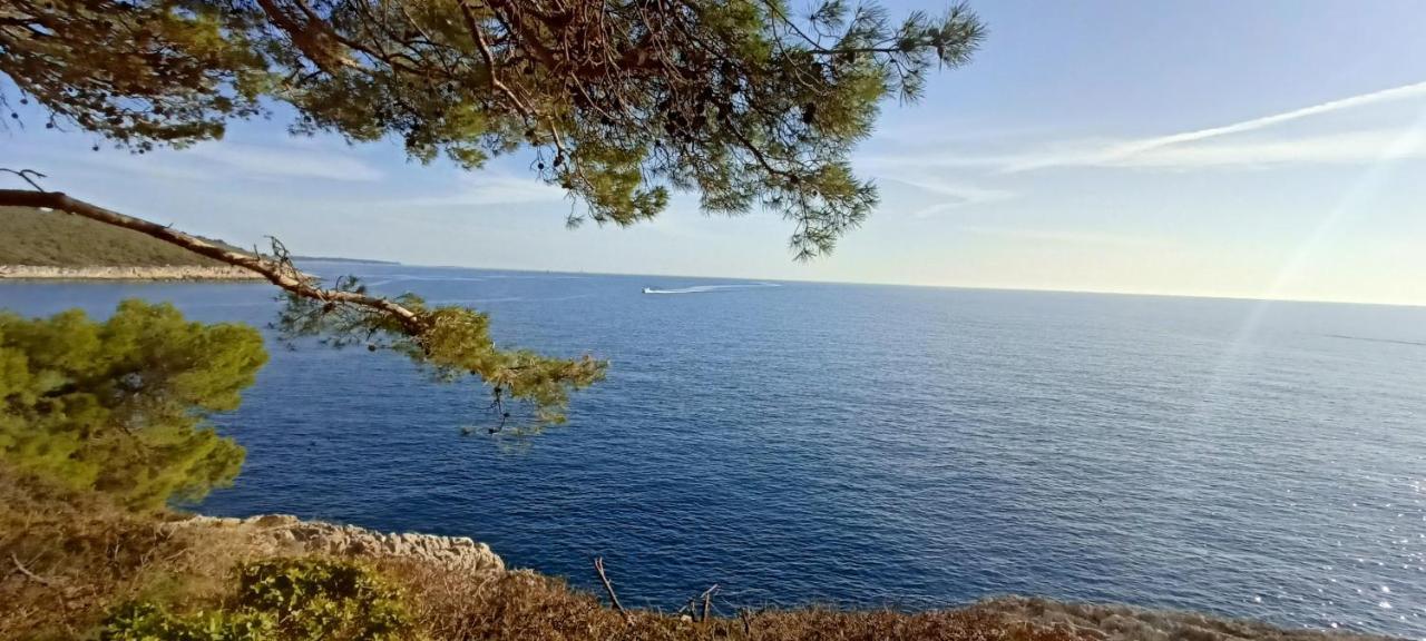 Luton Daire Banjole Dış mekan fotoğraf